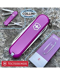Victorinox - Tasty Grape - Classic SD Colors 58mm - 0.6223.52G - Coltello
