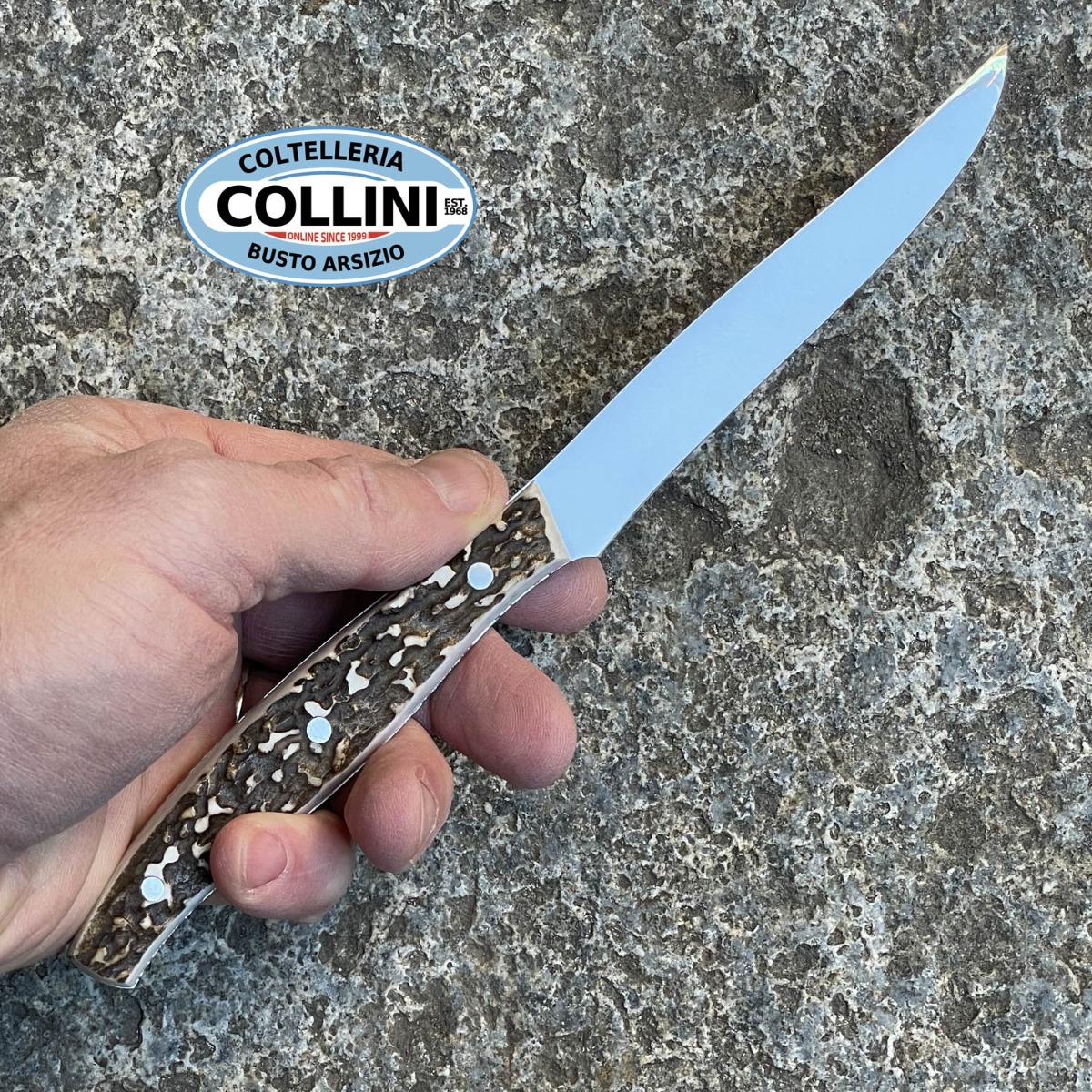 InoxArt - Set 6 coltelli bistecca in cervo mode con supporto in legno e vetro - co...