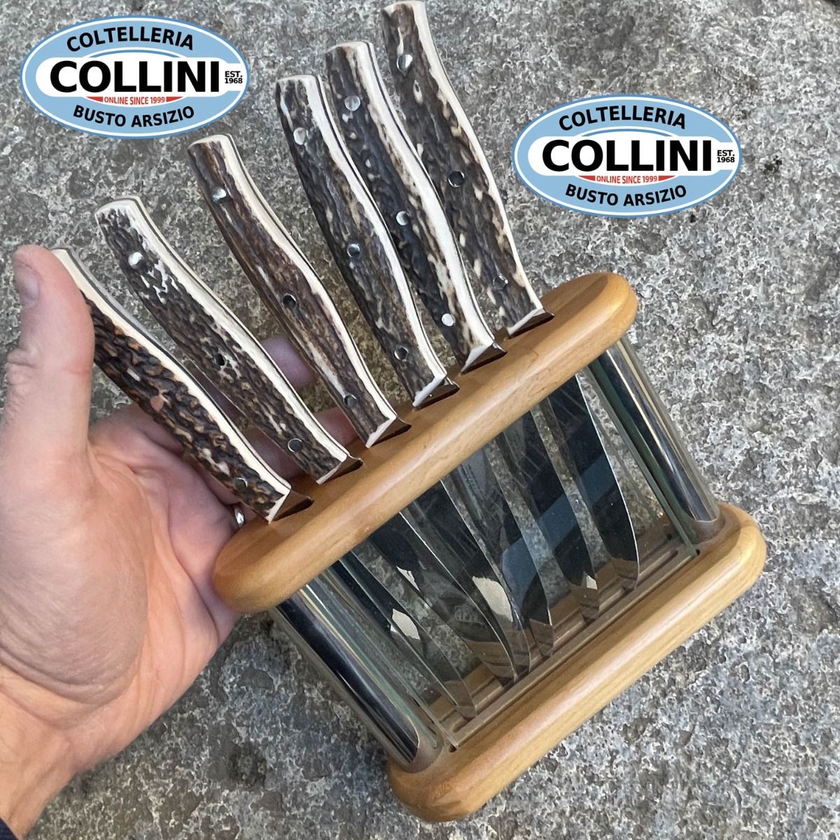 InoxArt - Set 6 coltelli bistecca achats in cervo con supporto in legno e vetro - co...