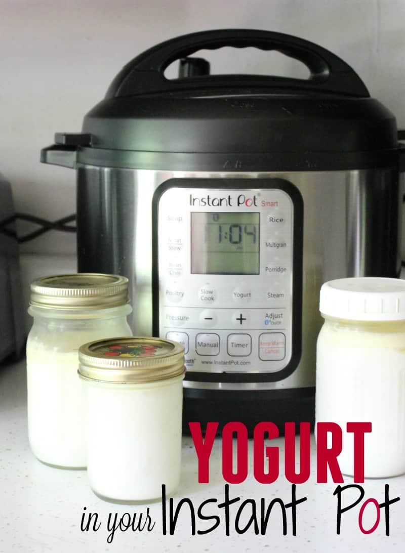InstantPot Set yogurt